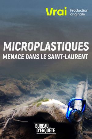 Microplastiques : Menace dans le Saint-Laurent's poster