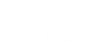 The Adventures of Saul Bellow's poster