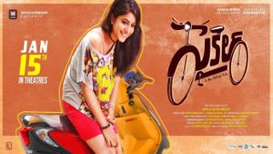 Cycle's poster