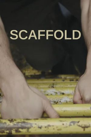 Scaffold's poster