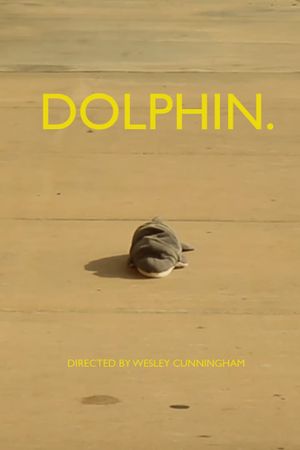 dolphin.'s poster