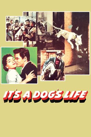 It's a Dog's Life's poster