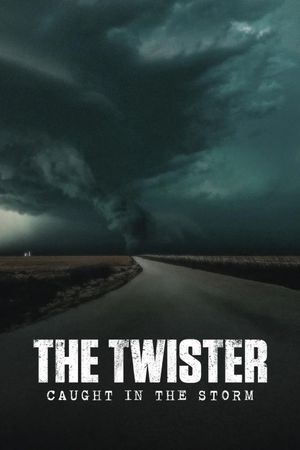 The Twister: Caught in the Storm's poster