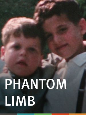 Phantom Limb's poster