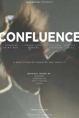 Confluence: A Meditation in Documentary Form's poster