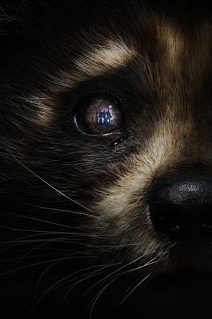 Guardians of the Galaxy Vol. 3's poster