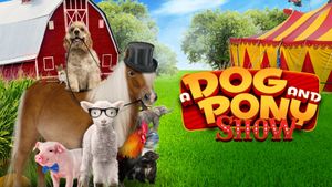 A Dog and Pony Show's poster