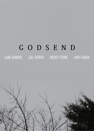 Godsend's poster