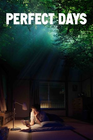 Perfect Days's poster