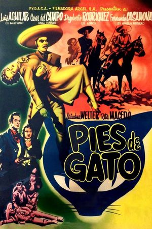 Pies de gato's poster