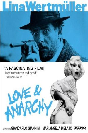 Love & Anarchy's poster