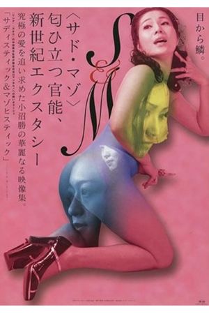 Sadistic and Masochistic's poster