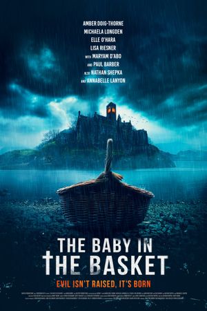 The Baby in the Basket's poster