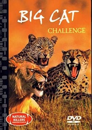 Big Cat Challenge's poster