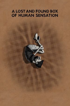 A Lost and Found Box of Human Sensation's poster