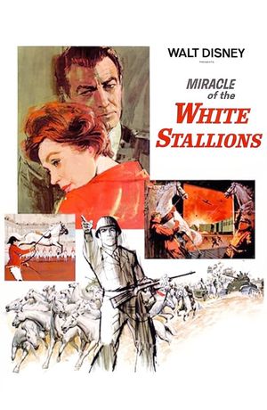 Miracle of the White Stallions's poster