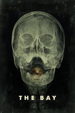 The Bay's poster