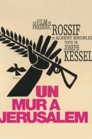 A Wall in Jerusalem's poster