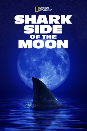 Shark Side of the Moon's poster