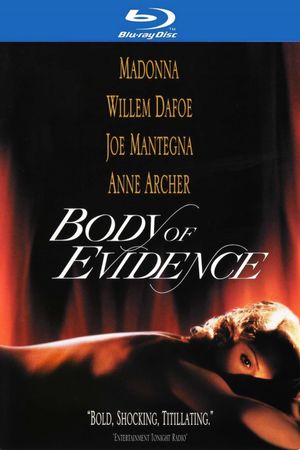 Body of Evidence's poster