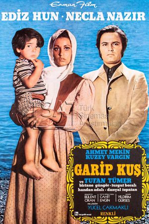 Garip Kus's poster