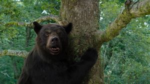 Cocaine Bear's poster