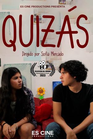 Quizás's poster