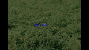 Deleted's poster