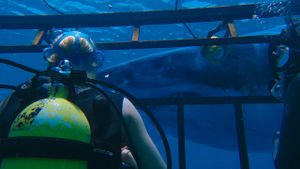 47 Meters Down's poster
