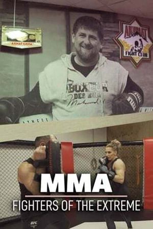 MMA: Fighters of the Extreme's poster