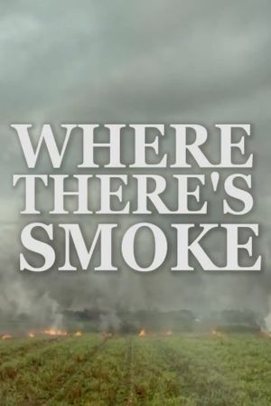 Where There’s Smoke's poster