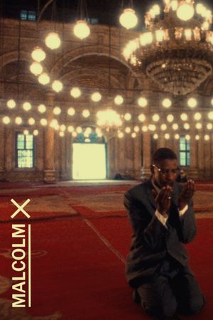 Malcolm X's poster