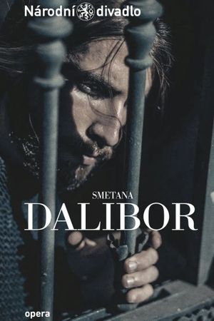 Dalibor's poster