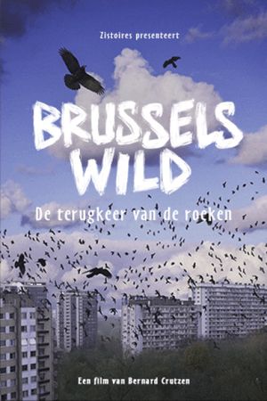 Bruxelles sauvage, le retour des corbeaux's poster