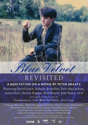 Blue Velvet Revisited's poster image