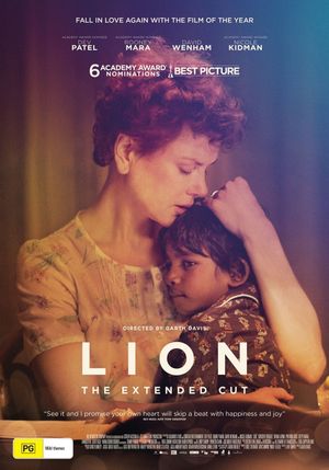 Lion's poster