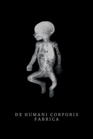 The Fabric of the Human Body's poster