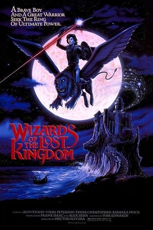 Wizards of the Lost Kingdom's poster