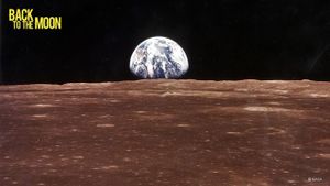 Back to the Moon's poster