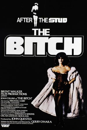 The Bitch's poster