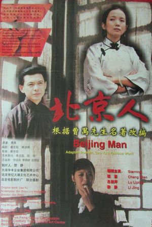 北京人's poster