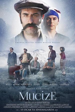 The Miracle's poster