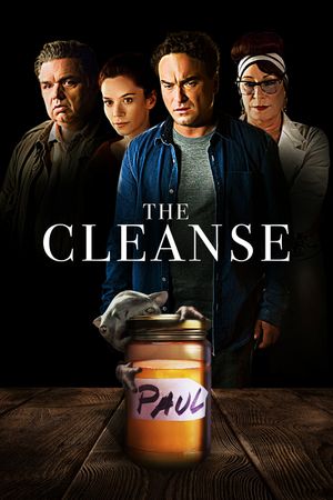 The Cleanse's poster image