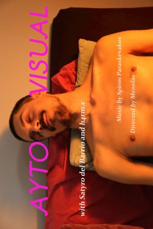AUTO/VISUAL's poster