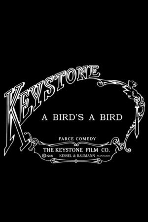 A Bird's a Bird's poster
