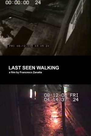 Last seen walking's poster