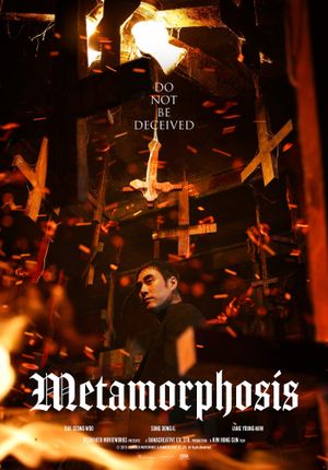 Metamorphosis's poster