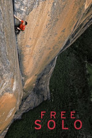 Free Solo's poster