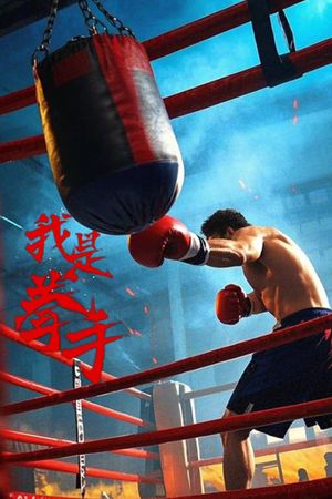 我是拳手's poster