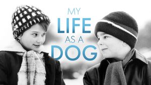 My Life as a Dog's poster